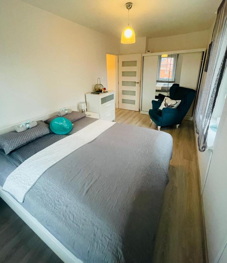 Апартаменты Apartament Oliwia Еленя-Гура Экстерьер фото